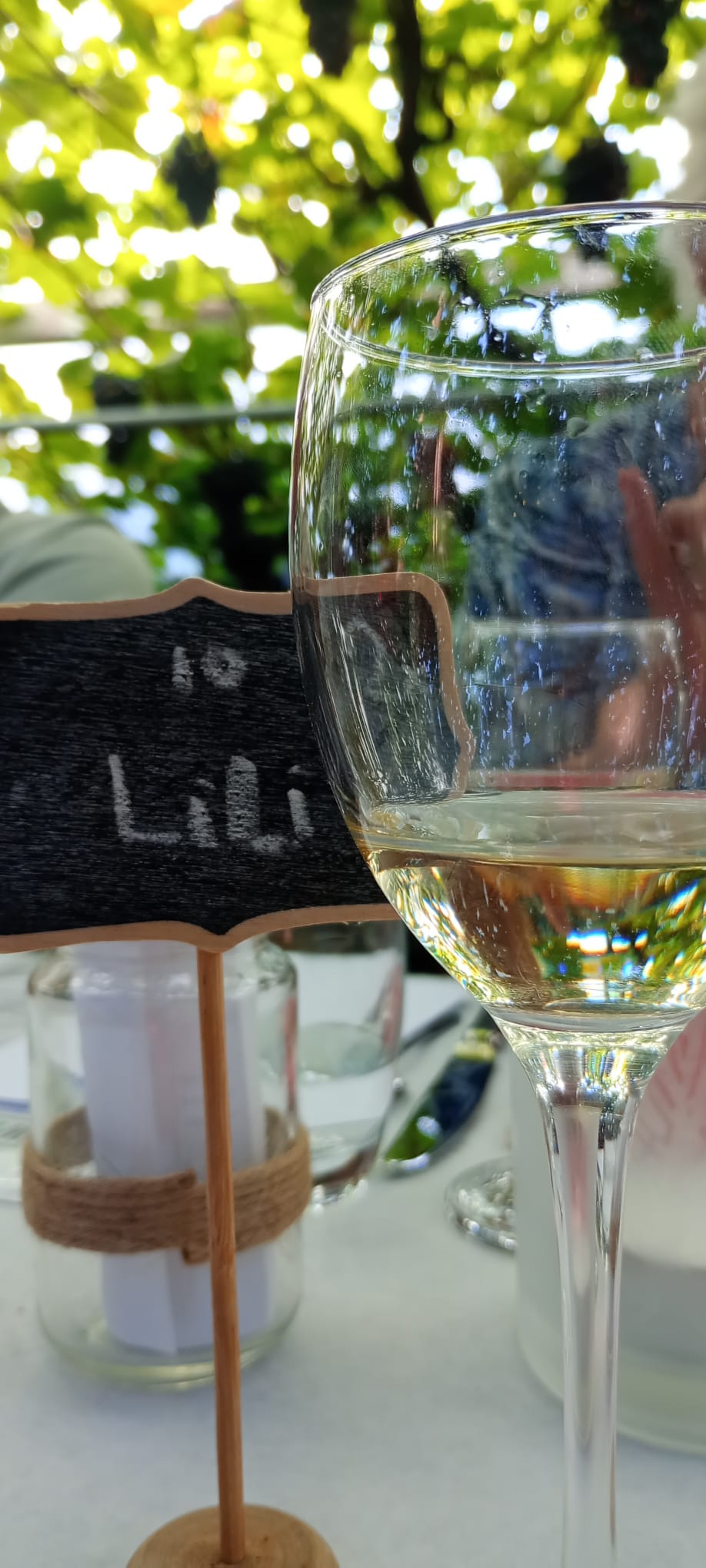 Een glas wijn onder de druivenranken